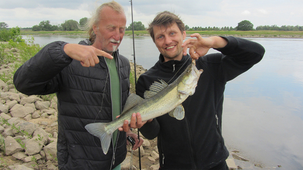 Fangfoto 2 Angler mit Zander Zanderguiding Elbe