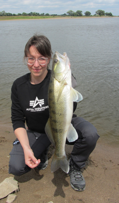 manfred gorgas kapitaler zander