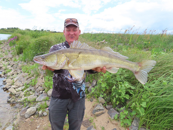 Sebastian mit Zander beim Zanderguiding an der Elbe
