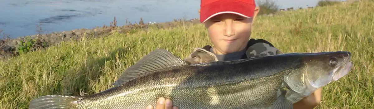 09-slider-fangfoto-elbezander