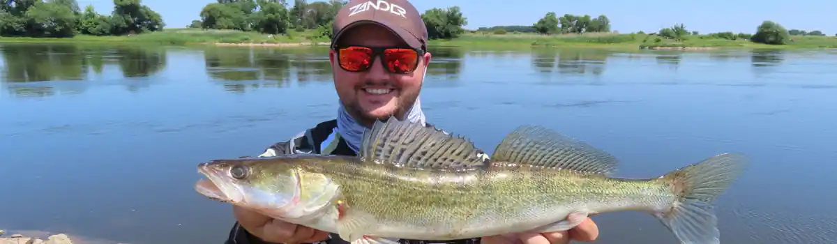 12slider-sommerzande-fangfoto-elbe