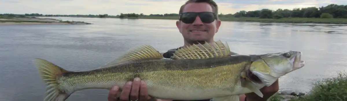 13-slider-Fangfoto-zander-elbe