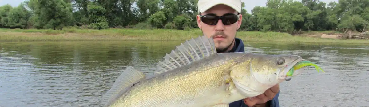 14-slider-zander-fangfoto-mittelelbe