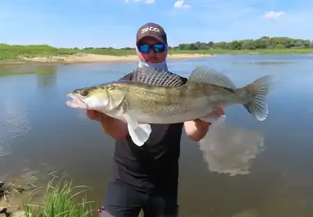 Marius mit Zander beim Zanderguiding an der Elbe