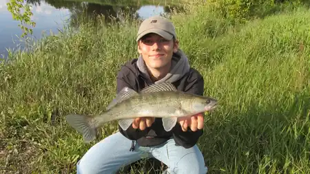 jungangler fangfoto zander elbe