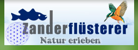 Zanderfluesterer.de - Manfred Gorgas - Zanderguide an der Elbe