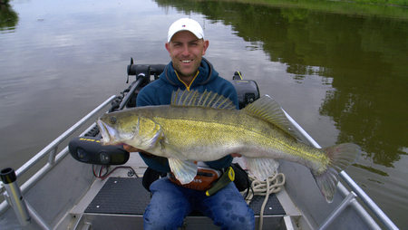 Fangfoto kapitaler Zander bei einer Zander Guiding Tour vom Boot auf der Elbe bei Magdeburg
