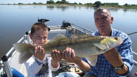 Fangfoto Angler mit Enkel präsentieren stolz einen gefangenen Zander bei einer geführten Angeltour vom Boot auf der Elbe bei Magdeburg