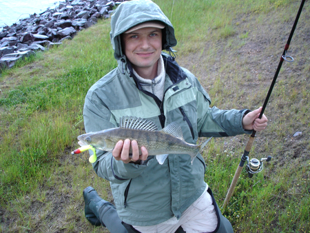 Fangfoto von einem Zander am Kanal bei einer geführten Angeltour zum Zanderangeln