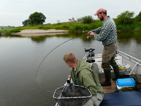 Zanderdrill vom Boot mit 2 Anglern auf der Elbe bei einer geführten Angeltour