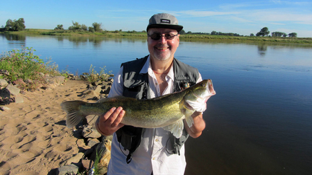 Zanderguiding Mittelbe Zanderflüsterer mit Zanderlehrling und seinem erstenZander