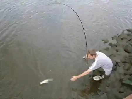 Angler beim Zanderdrill am Kanal direkt an der Steinpackung