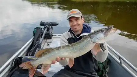 Freude beim Angler über den Fang eines Elbhechtes