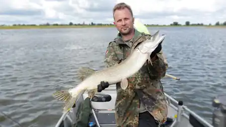 Angeltour im Herbst auf der Elbe mit Hechtfängen