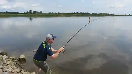 elbe angeln grossfisch drill