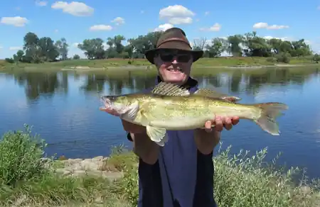 stachelritter elbe sommer fangfoto