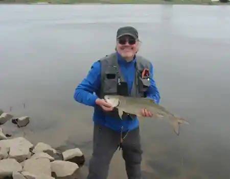 Fangfoto von einem Elbrapfen