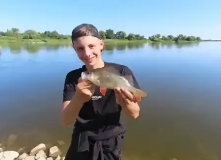 Glücklicher Jungangler mit einem Elbebarsch
