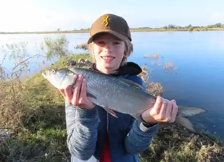 Jungangler mit einem Rapfen aus der Elbe
