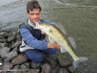 zanderguiding-01072012-28