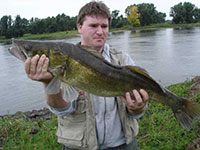 Großzander aus dem Mittellauf der Elbe