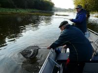 zanderguiding-03102010-1