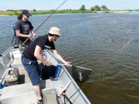 zanderguiding-06062011-13