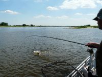 zanderguiding-06062011-15