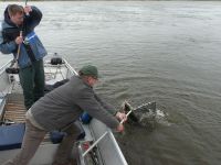zanderguiding-06062011-2