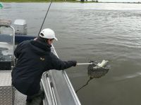 zanderguiding-10082011-16