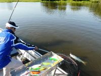 zanderguiding-10082011-19