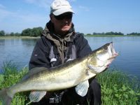 zanderguiding-10082011-30