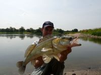 zanderguiding-10082011-9