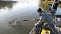 zanderguiding-10102012-1