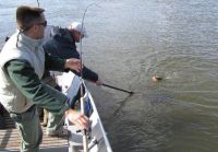 zanderguiding-10102012-17