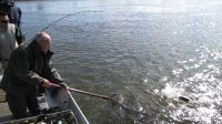 zanderguiding-10102012-19