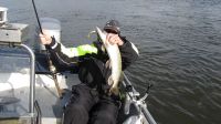 zanderguiding-10102012-4