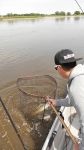 zanderguiding-10102017-13