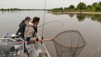 zanderguiding-10102017-17