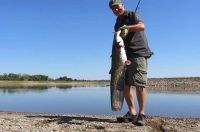 17-zander-guiding-2018