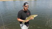 18-zander-guiding-2018