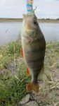 21-zander-guiding-2018