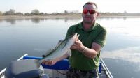 31-zander-guiding-2018