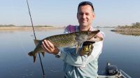 32-zander-guiding-2018