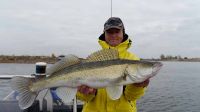 33-zander-guiding-2018