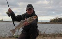 36-zander-guiding-2018