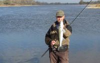 37-zander-guiding-2018