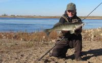 41-zander-guiding-2018