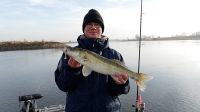 45-zander-guiding-2018