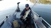 46-zander-guiding-2018